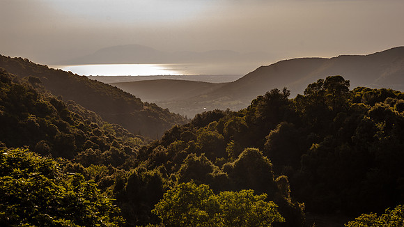 Common View in Greece
