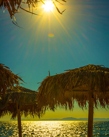 Beach Life