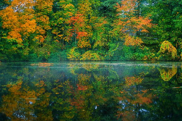 Foggy Mirror