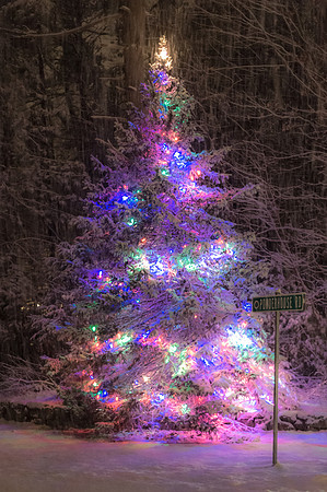 Christmas tree with snow