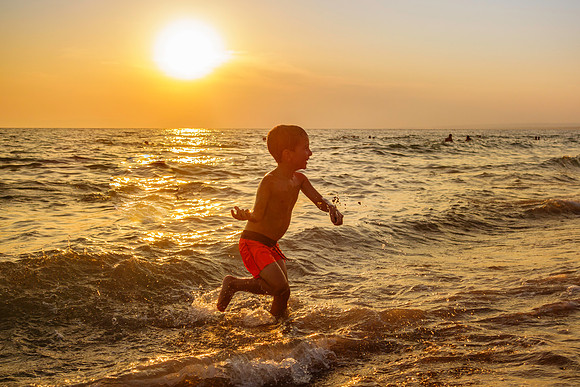 Summer Joy