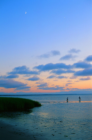 This is Cape Cod