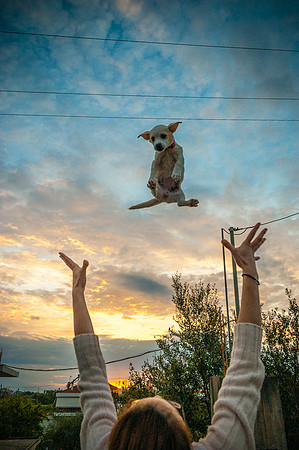 Flying Dog
