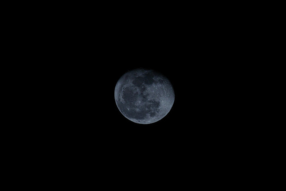 February Moon