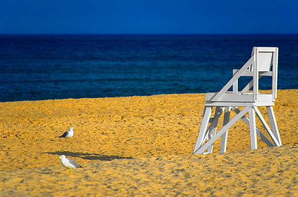 Lifeguard gone