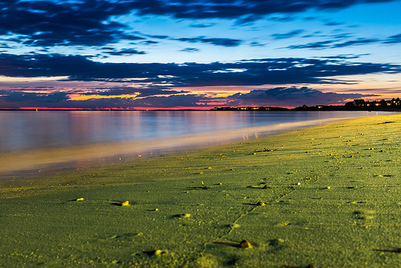 Cape Cod