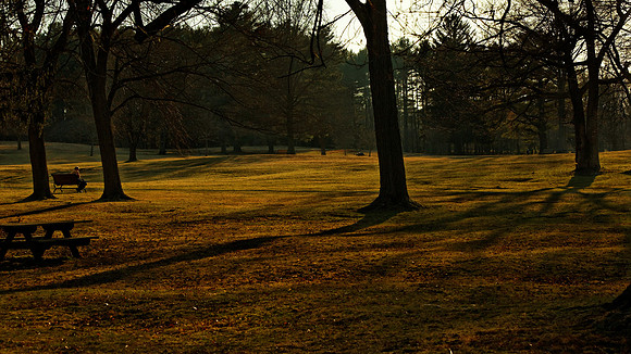 Spring Time at Bird Park in Walpole